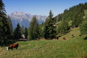 Le massif de la Tournette